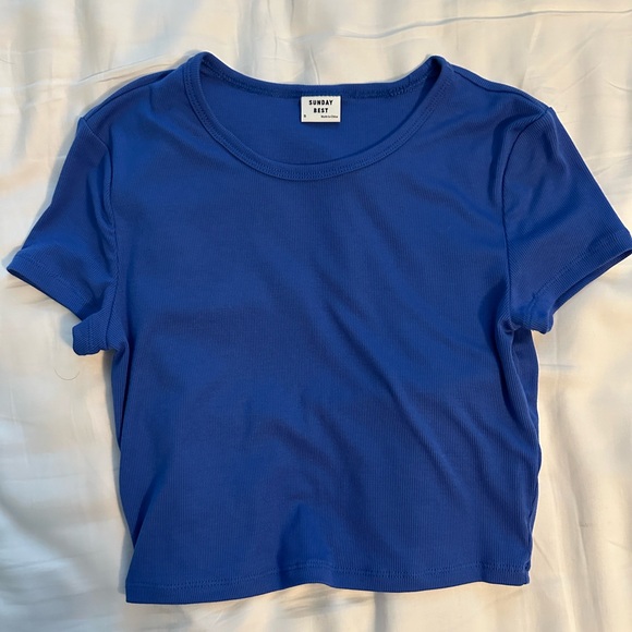 aritzia blue ribbed baby tee - Picture 1 of 3